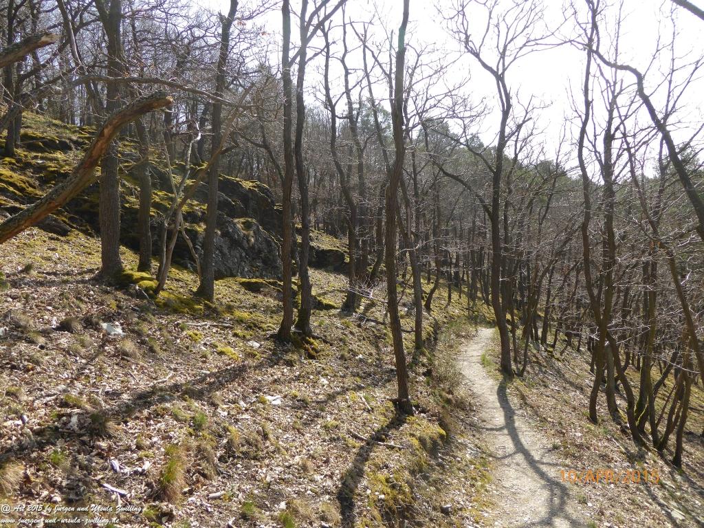 Philosophische Bildwanderung Traumschleife Rheingold