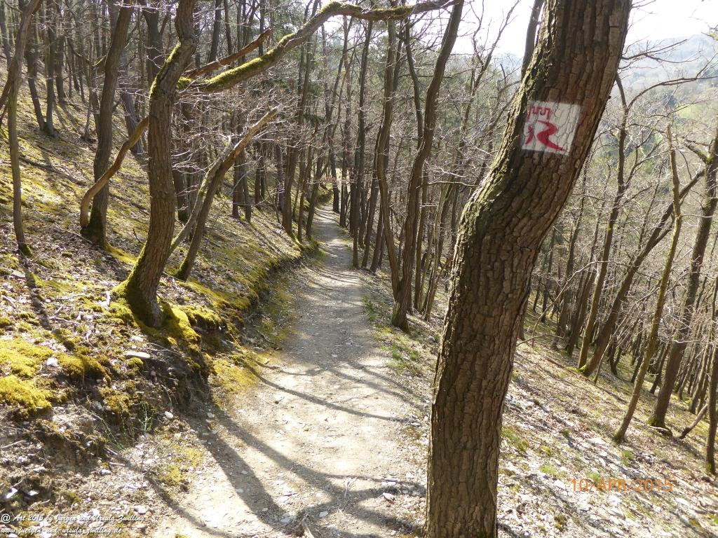 Philosophische Bildwanderung Traumschleife Rheingold