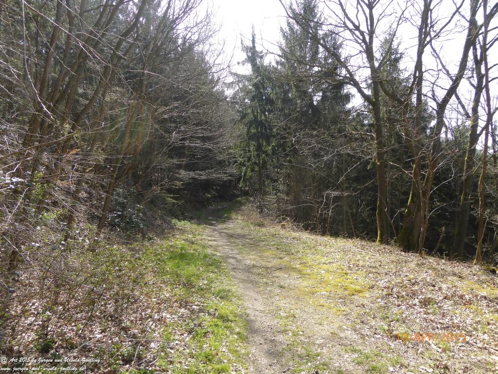 Philosophische Bildwanderung Traumschleife Rheingold