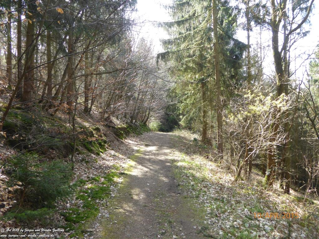 Philosophische Bildwanderung Traumschleife Rheingold