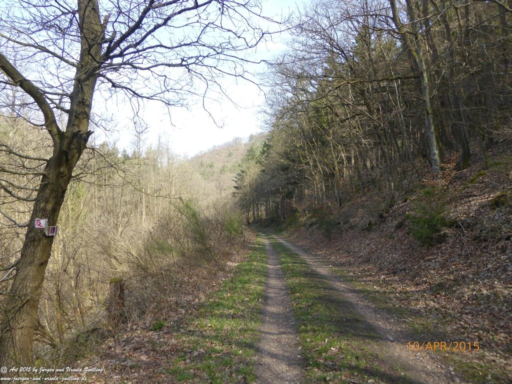 Philosophische Bildwanderung Traumschleife Rheingold