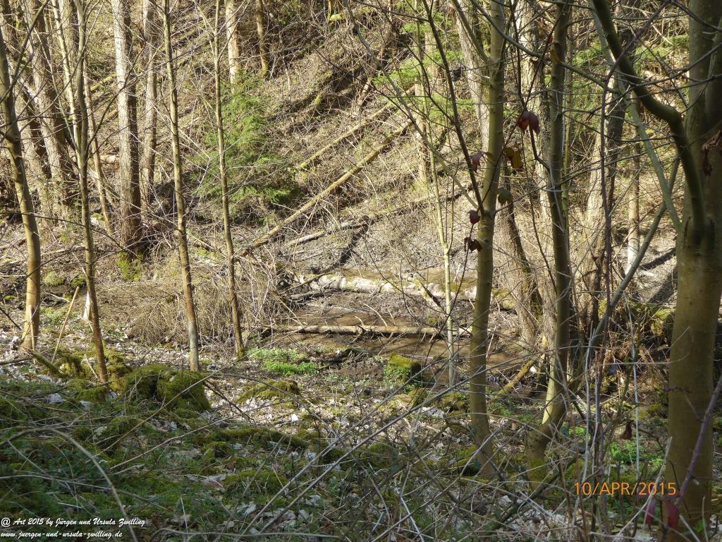 Philosophische Bildwanderung Traumschleife Rheingold