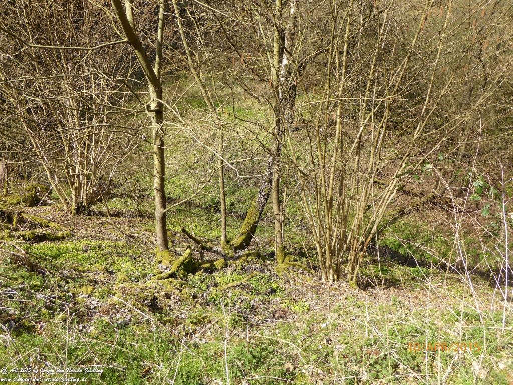Philosophische Bildwanderung Traumschleife Rheingold