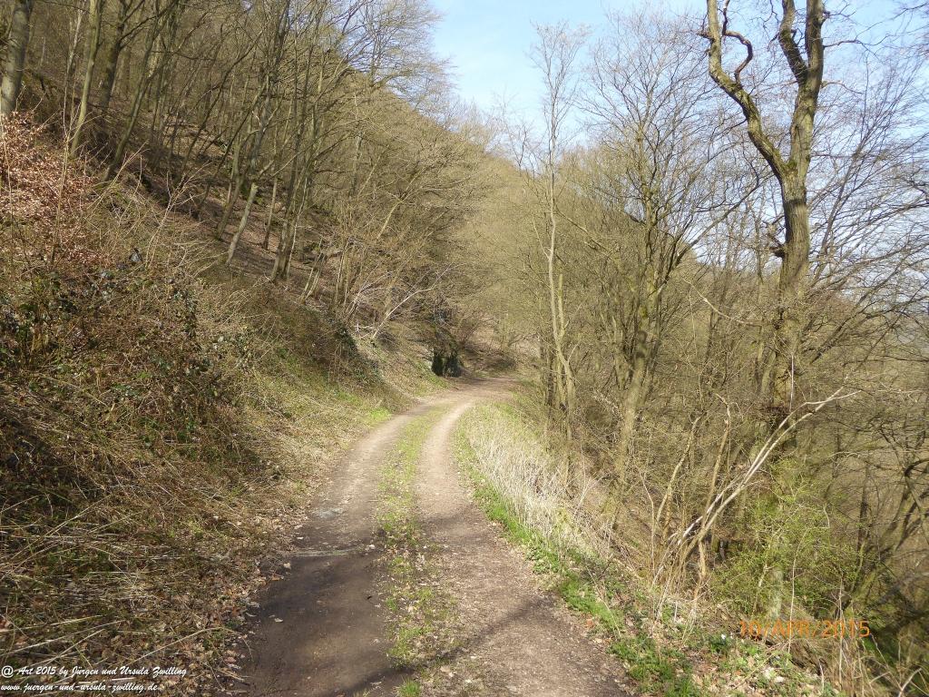 Philosophische Bildwanderung Traumschleife Rheingold