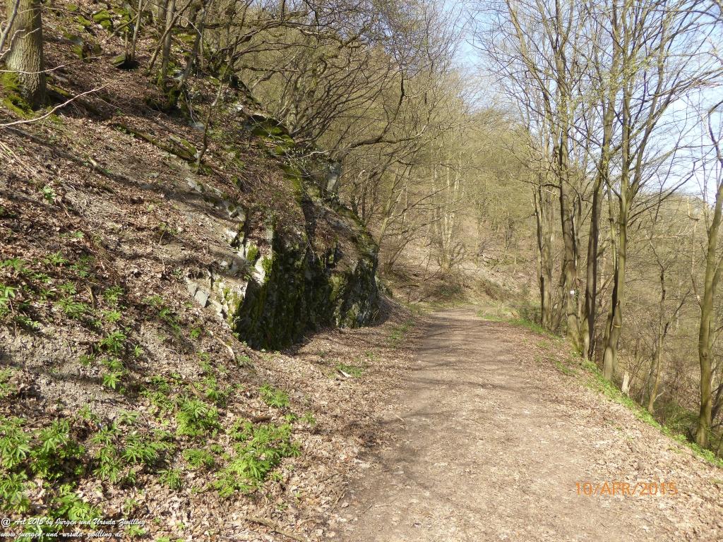 Philosophische Bildwanderung Traumschleife Rheingold