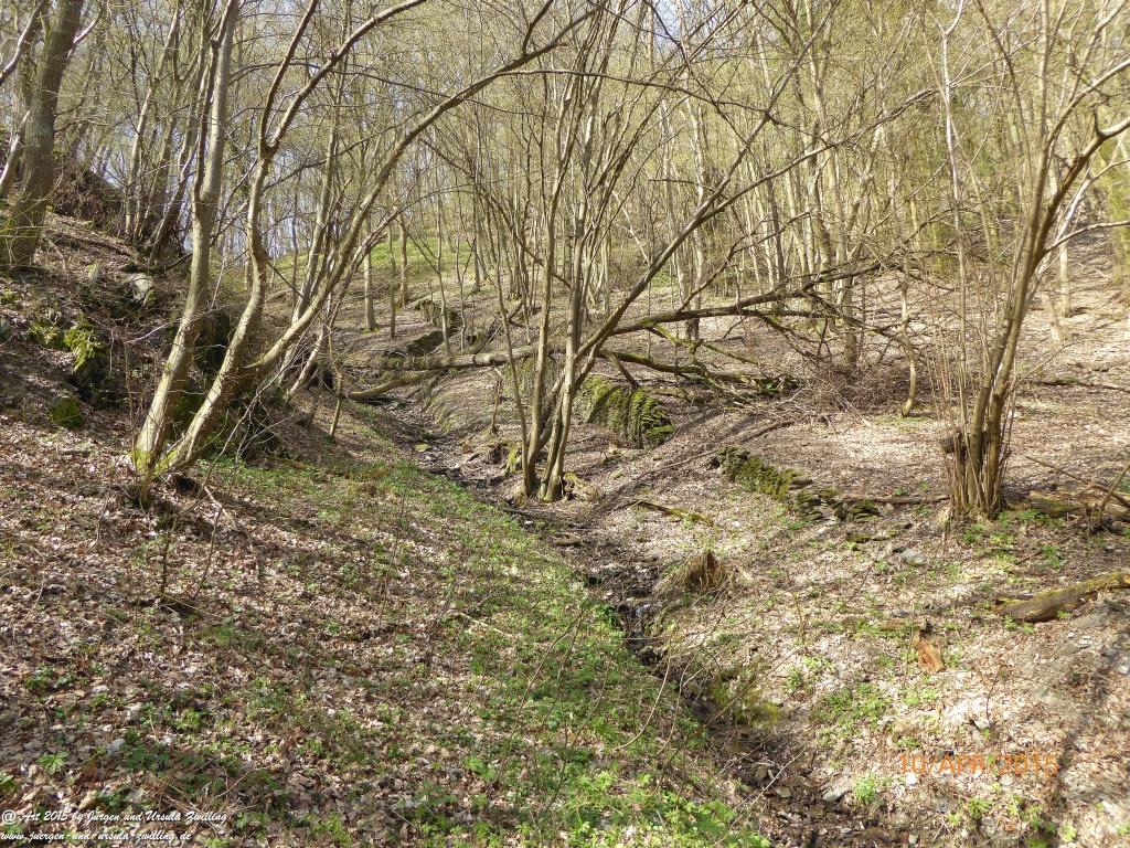 Philosophische Bildwanderung Traumschleife Rheingold