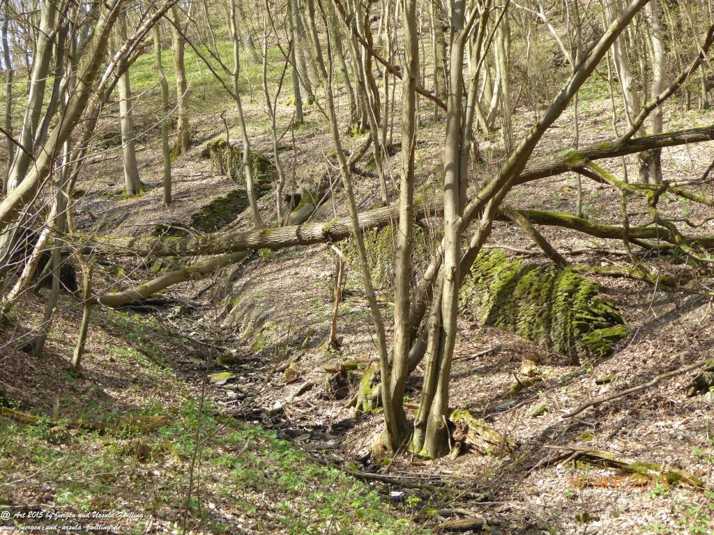 Philosophische Bildwanderung Traumschleife Rheingold