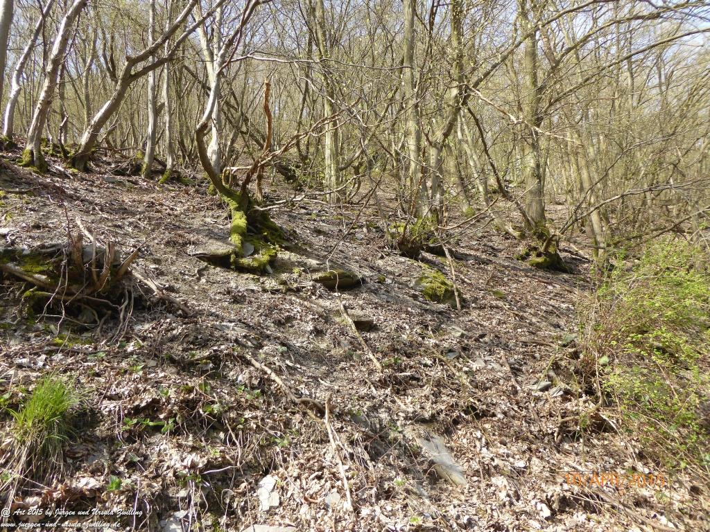 Philosophische Bildwanderung Traumschleife Rheingold