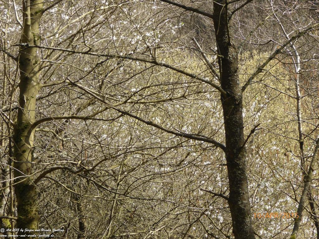 Philosophische Bildwanderung Traumschleife Rheingold