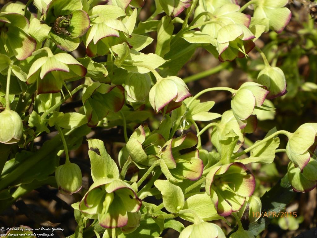 Philosophische Bildwanderung Traumschleife Rheingold