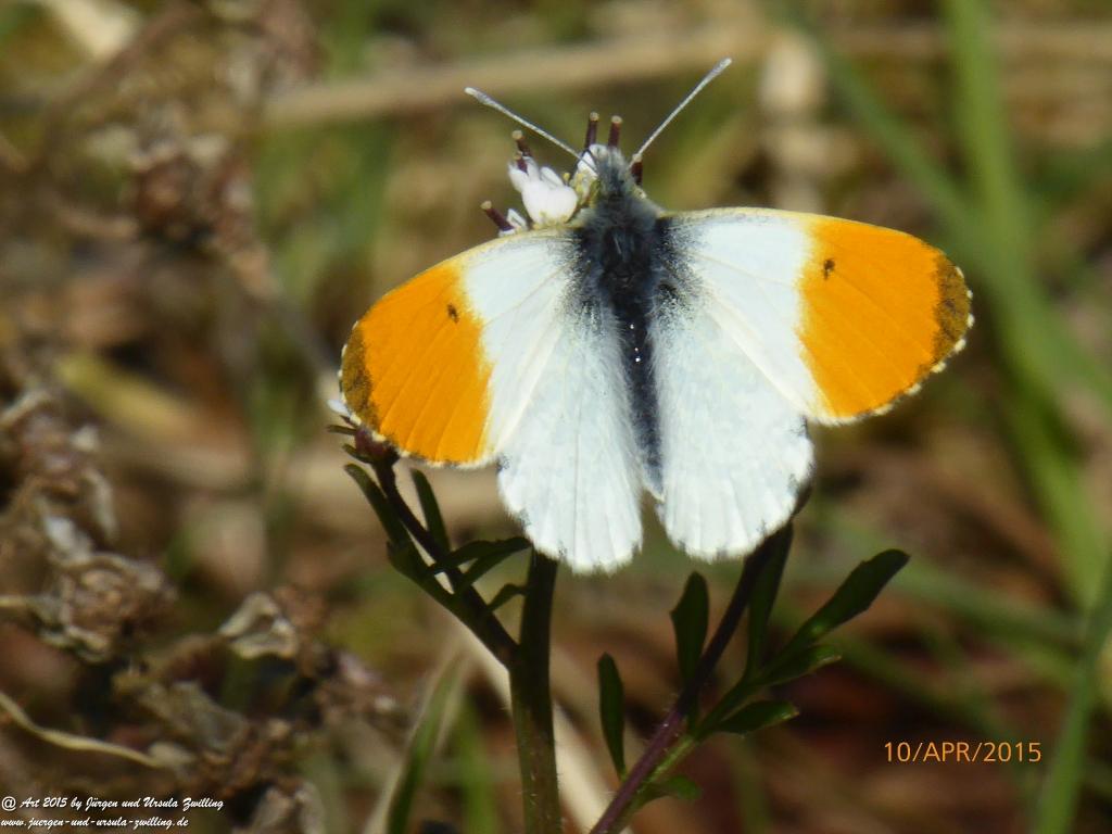 Philosophische Bildwanderung Traumschleife Rheingold