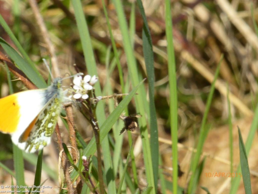 Philosophische Bildwanderung Traumschleife Rheingold