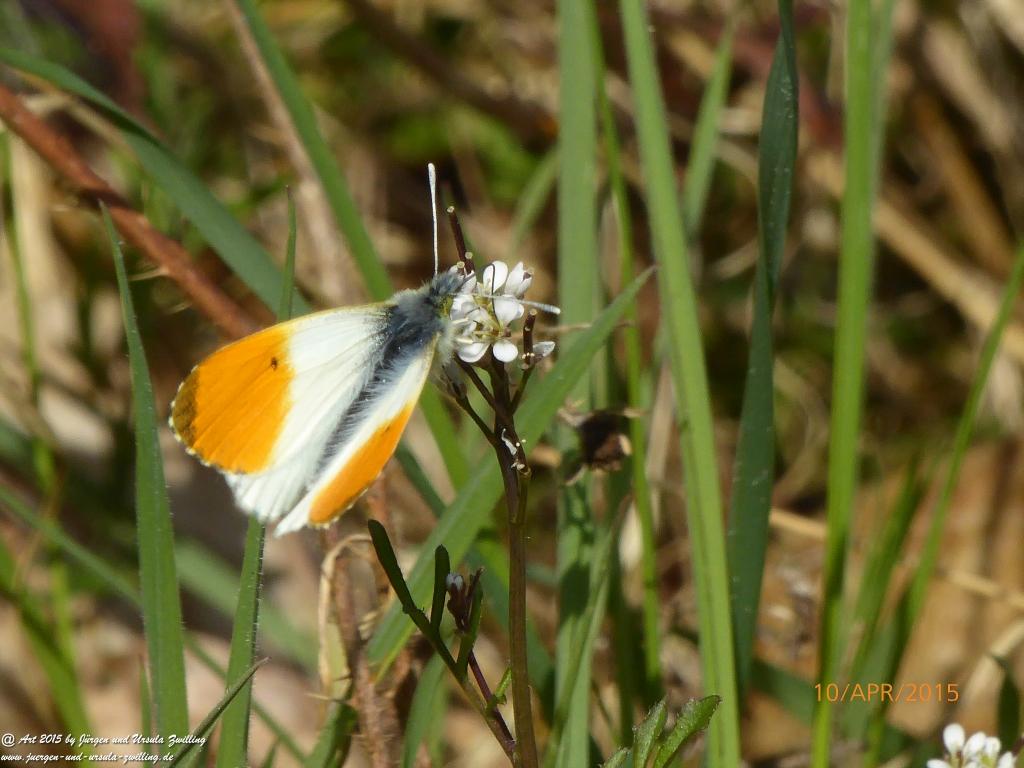 Philosophische Bildwanderung Traumschleife Rheingold