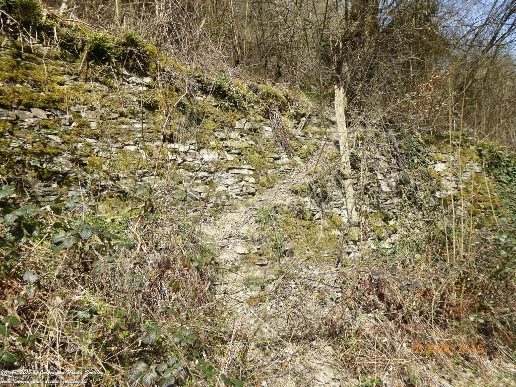 Philosophische Bildwanderung Traumschleife Rheingold