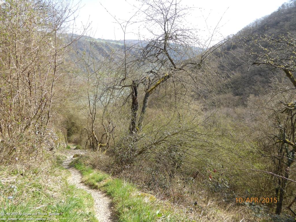 Philosophische Bildwanderung Traumschleife Rheingold