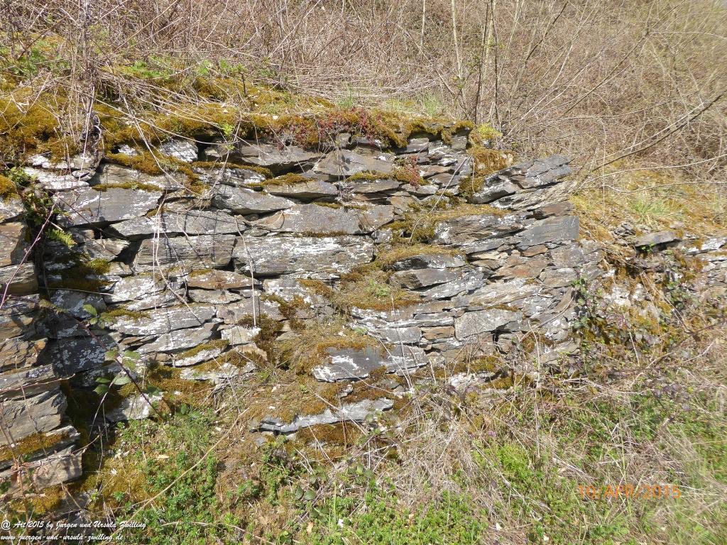 Philosophische Bildwanderung Traumschleife Rheingold