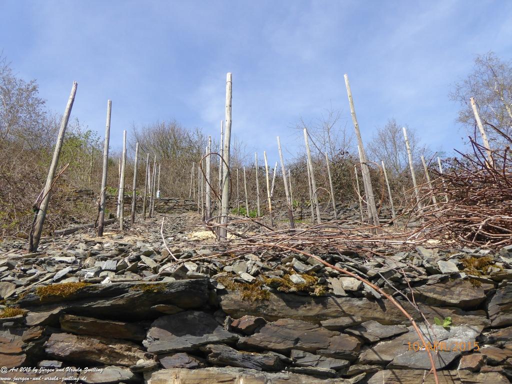 Philosophische Bildwanderung Traumschleife Rheingold