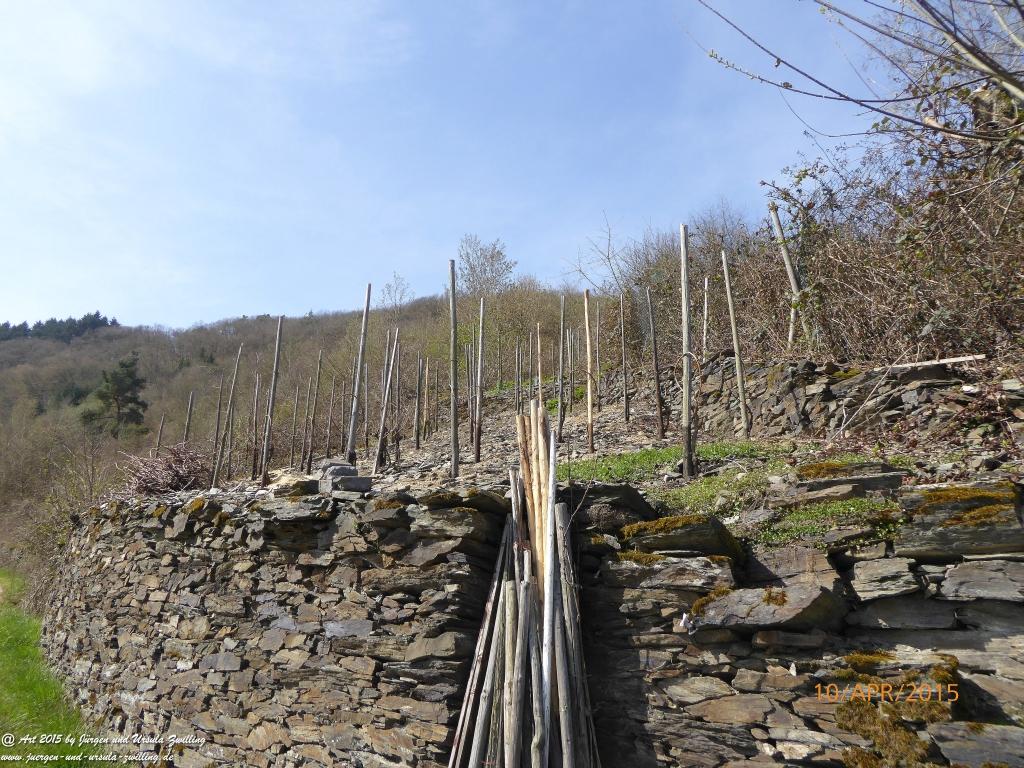 Philosophische Bildwanderung Traumschleife Rheingold