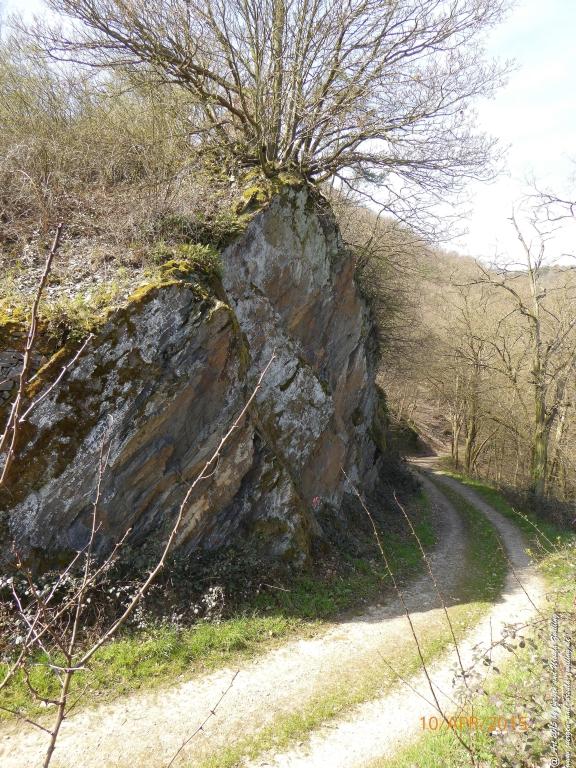 Philosophische Bildwanderung Traumschleife Rheingold