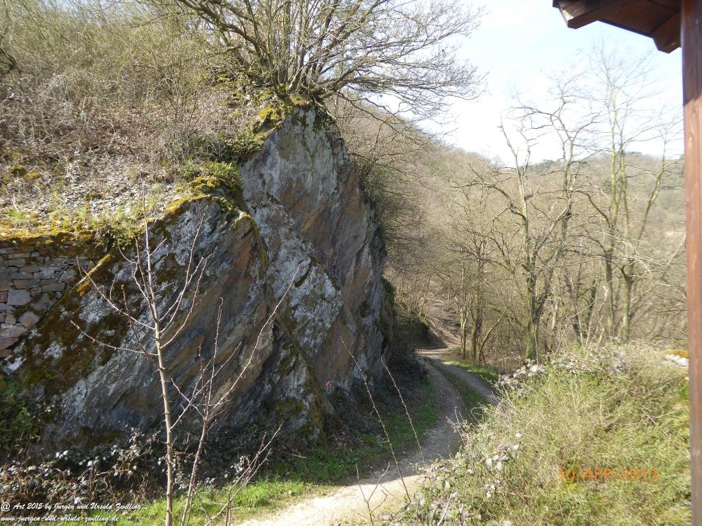 Philosophische Bildwanderung Traumschleife Rheingold