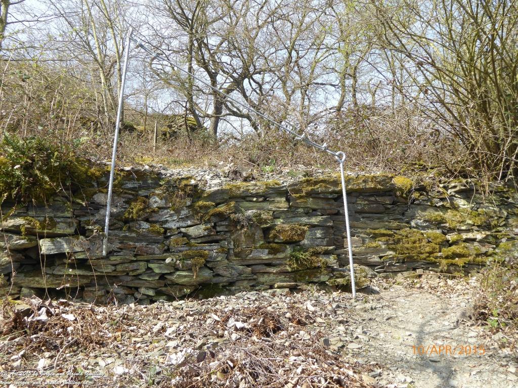 Philosophische Bildwanderung Traumschleife Rheingold