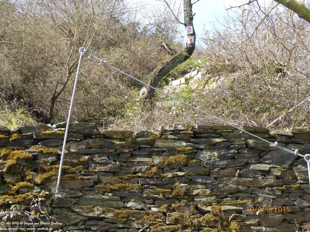 Philosophische Bildwanderung Traumschleife Rheingold