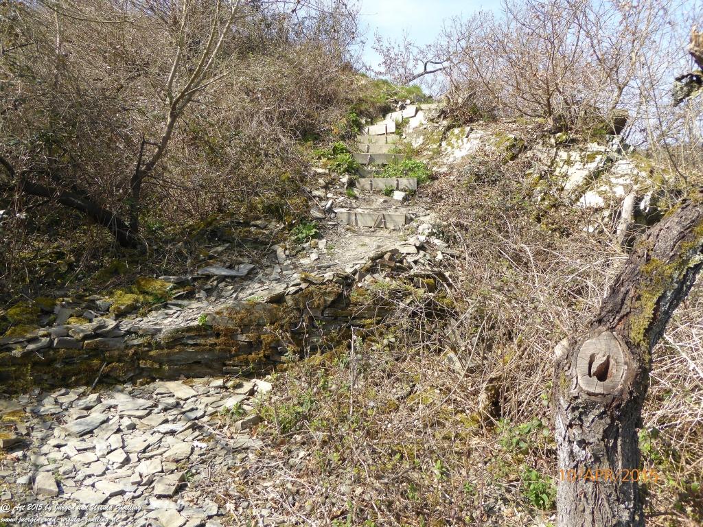 Philosophische Bildwanderung Traumschleife Rheingold