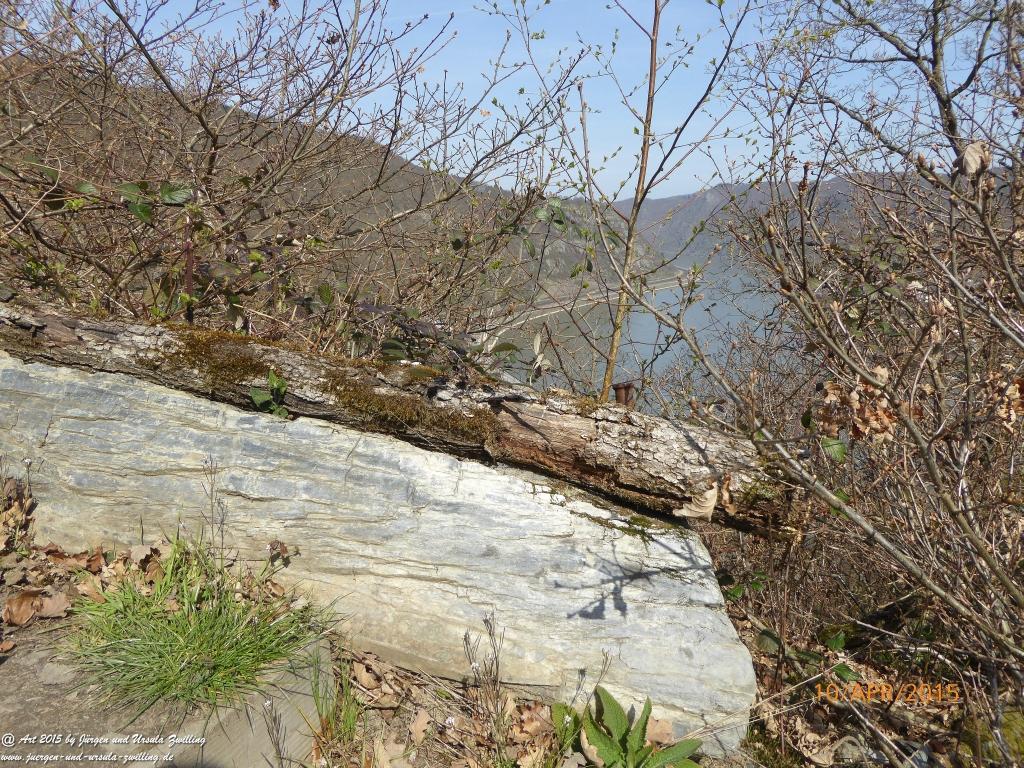 Philosophische Bildwanderung Traumschleife Rheingold