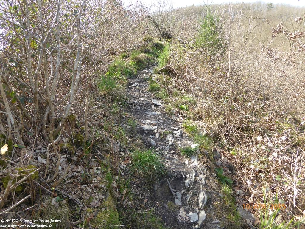 Philosophische Bildwanderung Traumschleife Rheingold