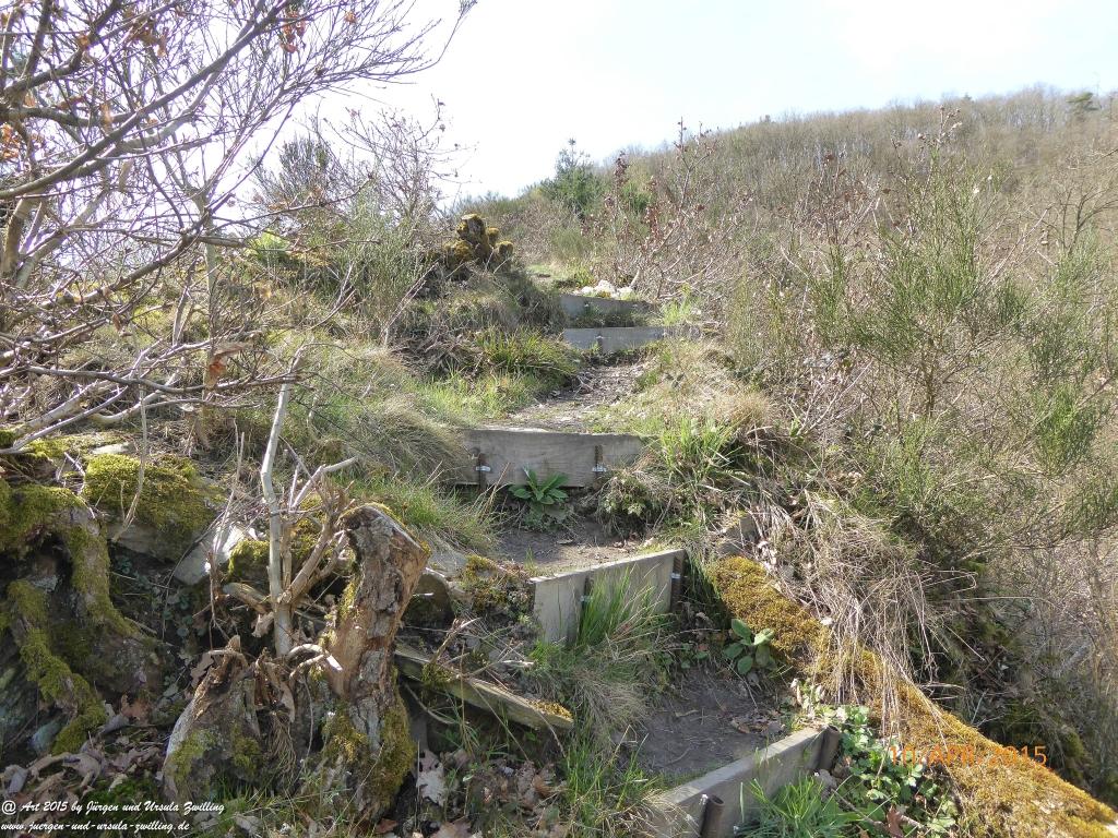 Philosophische Bildwanderung Traumschleife Rheingold