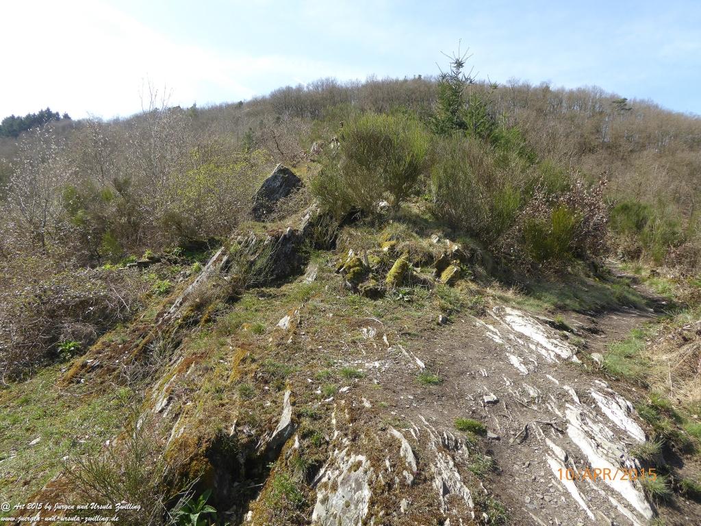 Philosophische Bildwanderung Traumschleife Rheingold