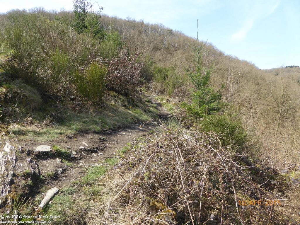 Philosophische Bildwanderung Traumschleife Rheingold