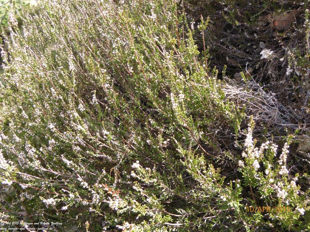 Philosophische Bildwanderung Traumschleife Rheingold