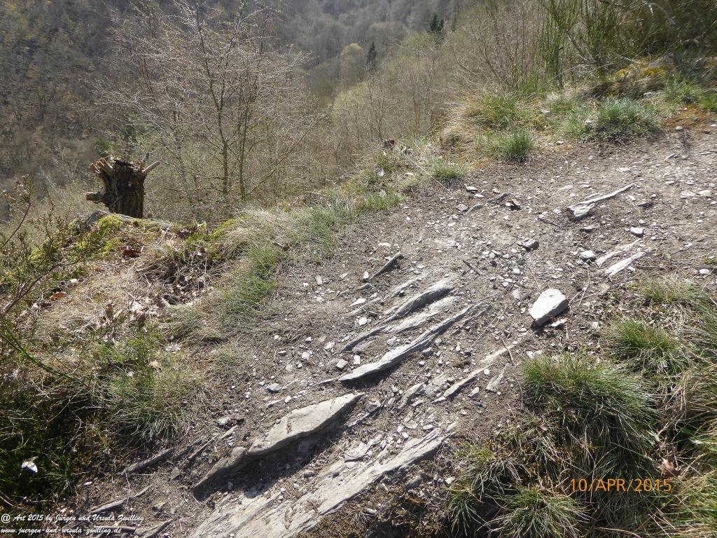 Philosophische Bildwanderung Traumschleife Rheingold