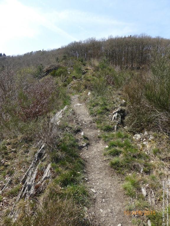 Philosophische Bildwanderung Traumschleife Rheingold