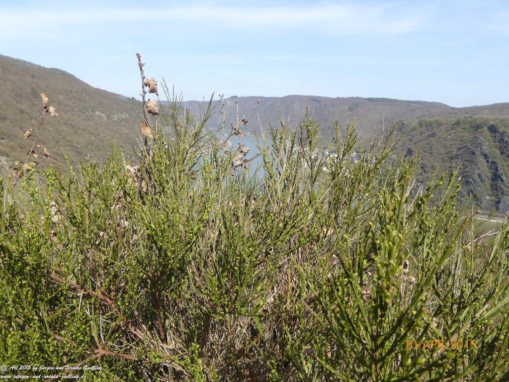 Philosophische Bildwanderung Traumschleife Rheingold