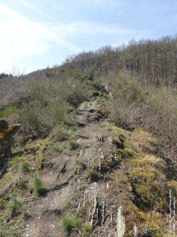 Philosophische Bildwanderung Traumschleife Rheingold