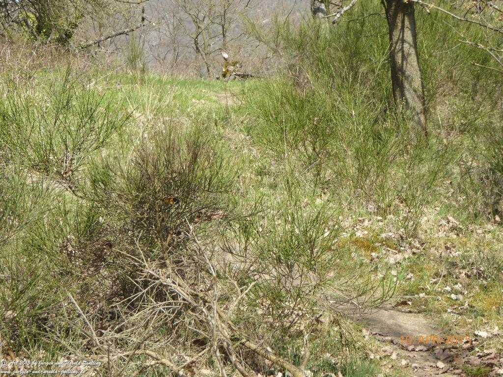 Philosophische Bildwanderung Traumschleife Rheingold