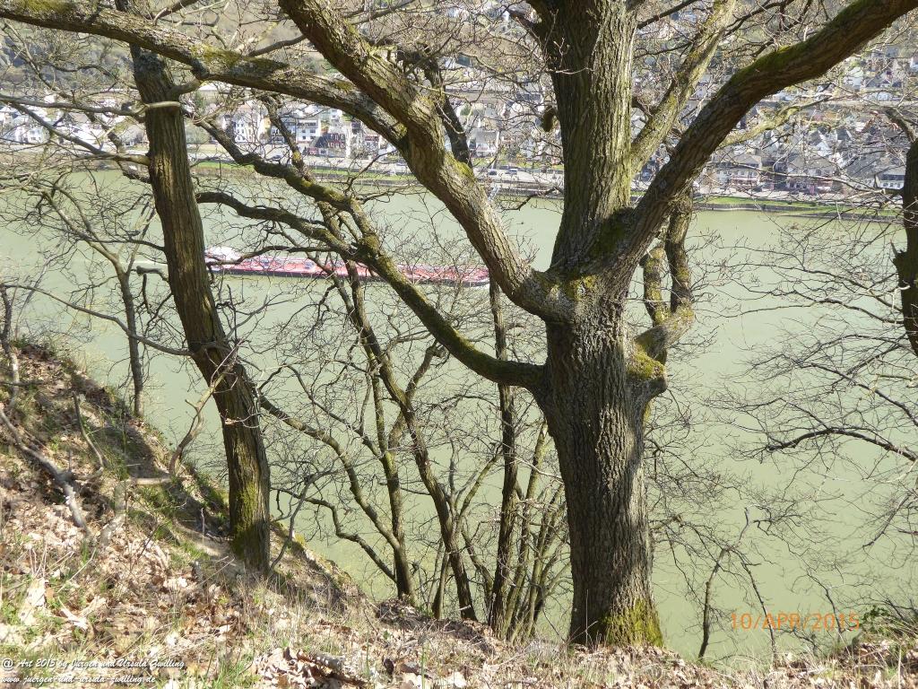 Philosophische Bildwanderung Traumschleife Rheingold
