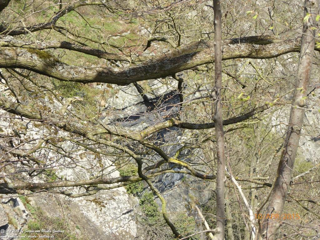 Philosophische Bildwanderung Traumschleife Rheingold