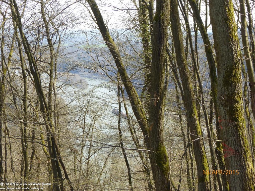 Philosophische Bildwanderung Traumschleife Rheingold