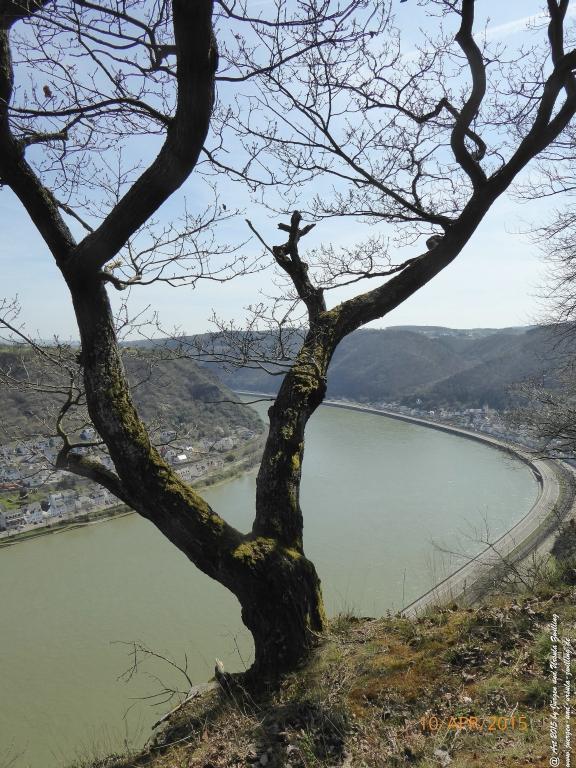 Philosophische Bildwanderung Traumschleife Rheingold