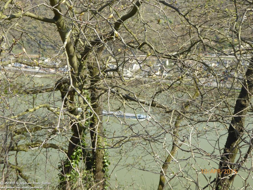 Philosophische Bildwanderung Traumschleife Rheingold