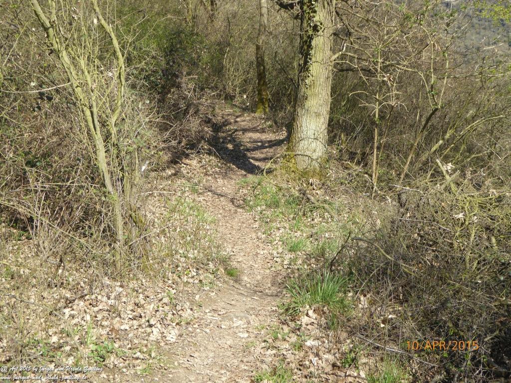 Philosophische Bildwanderung Traumschleife Rheingold