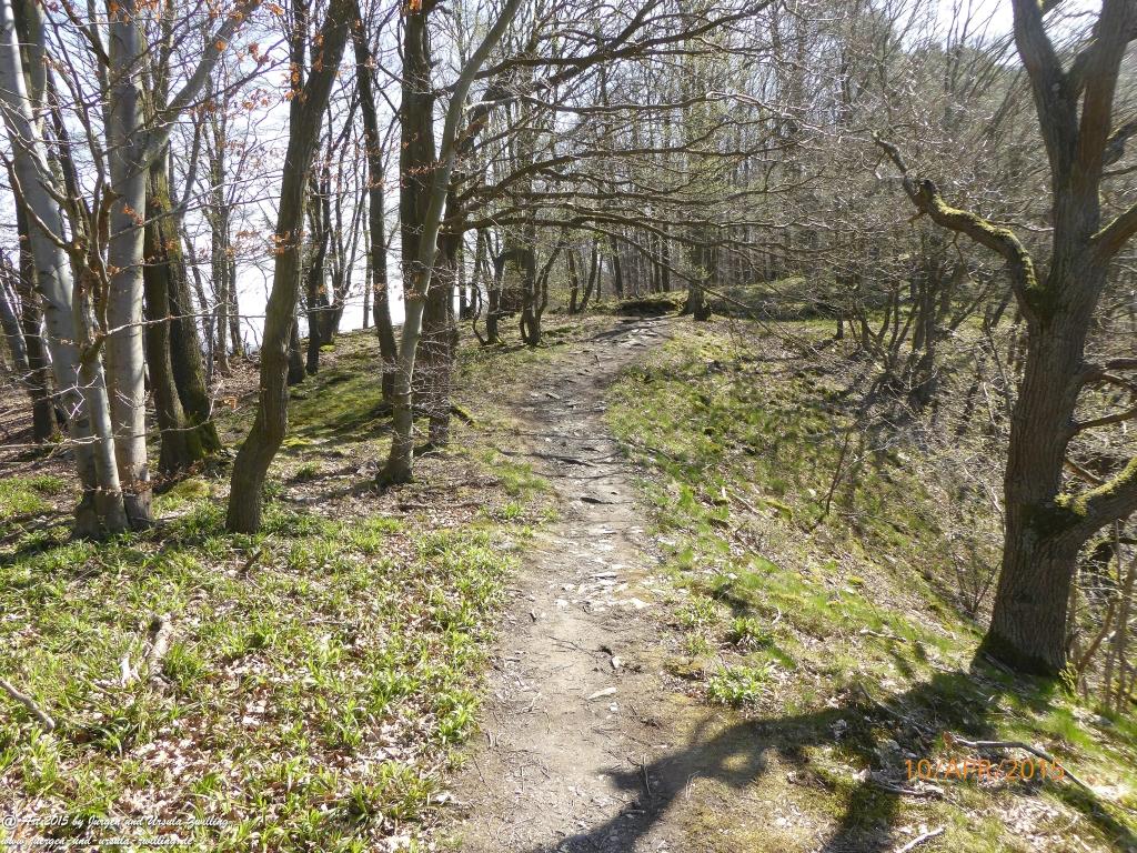 Philosophische Bildwanderung Traumschleife Rheingold