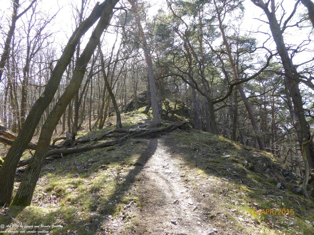 Philosophische Bildwanderung Traumschleife Rheingold