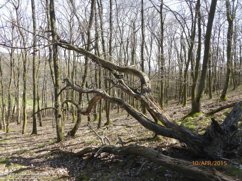 Philosophische Bildwanderung Traumschleife Rheingold