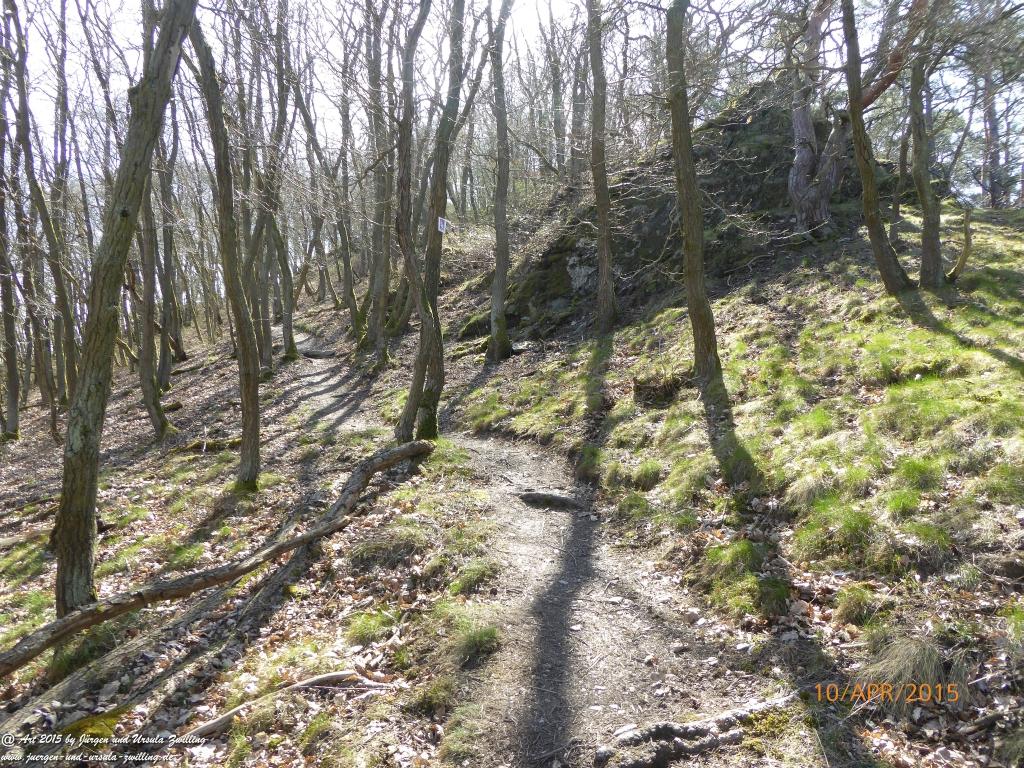 Philosophische Bildwanderung Traumschleife Rheingold