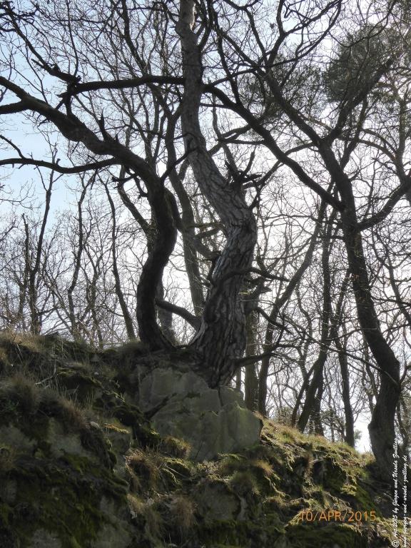 Philosophische Bildwanderung Traumschleife Rheingold