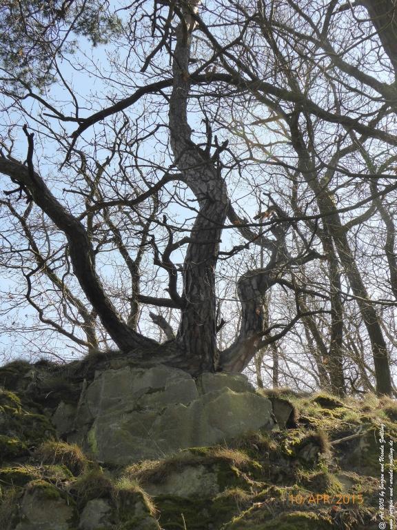 Philosophische Bildwanderung Traumschleife Rheingold